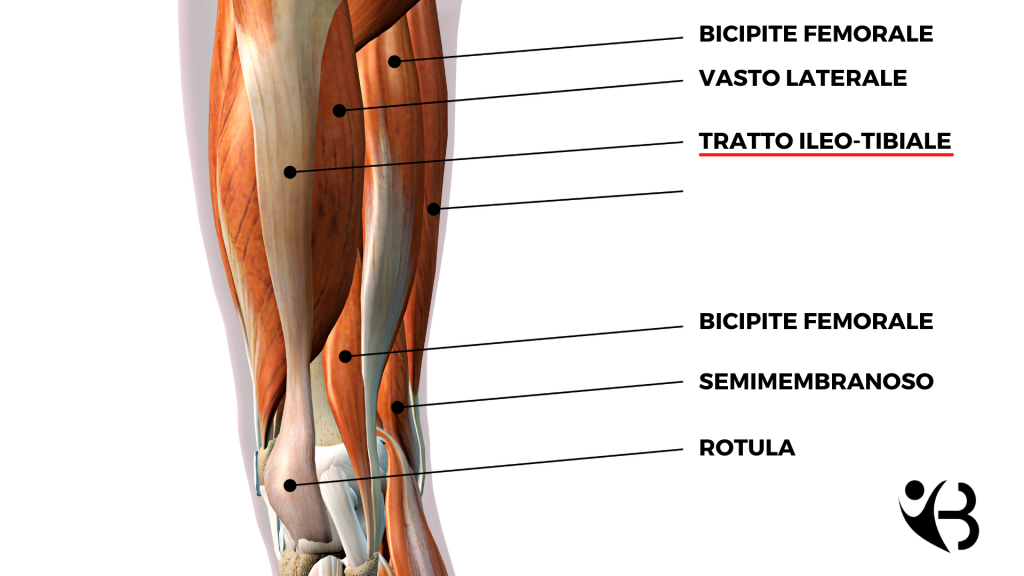 Tendinite Ginocchio Sintomi Cura Ed Esercizi Dott Valerio Barbari